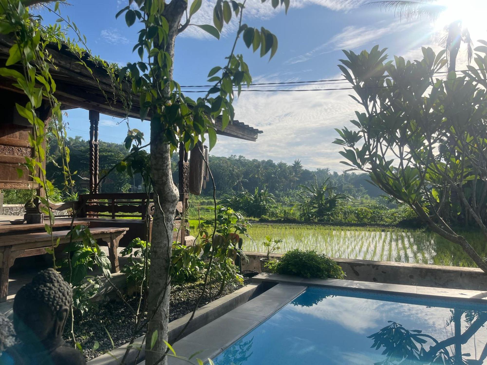 Villa Nextdoor Nature Yogyakarta บันตุล ภายนอก รูปภาพ