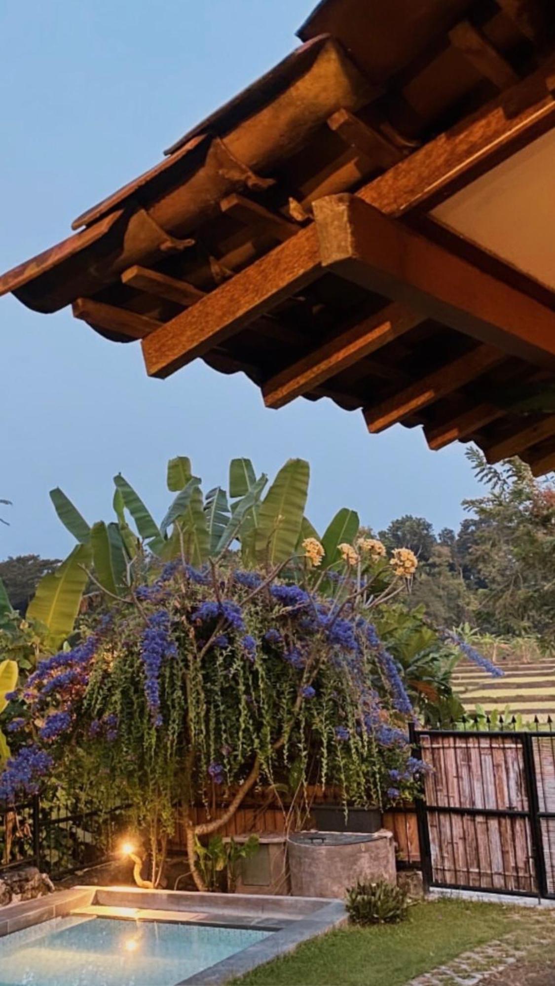 Villa Nextdoor Nature Yogyakarta บันตุล ภายนอก รูปภาพ