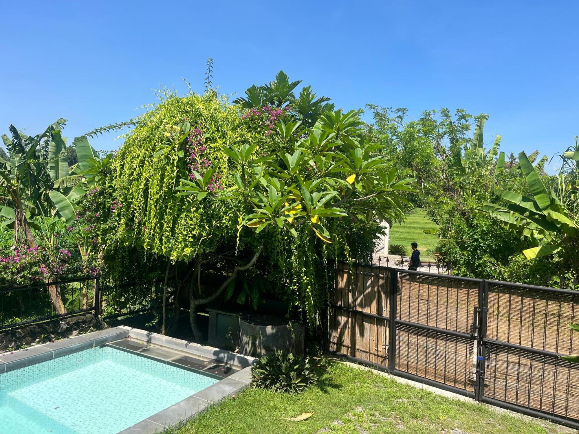 Villa Nextdoor Nature Yogyakarta บันตุล ภายนอก รูปภาพ